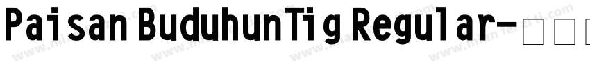Paisan BuduhunTig Regular字体转换